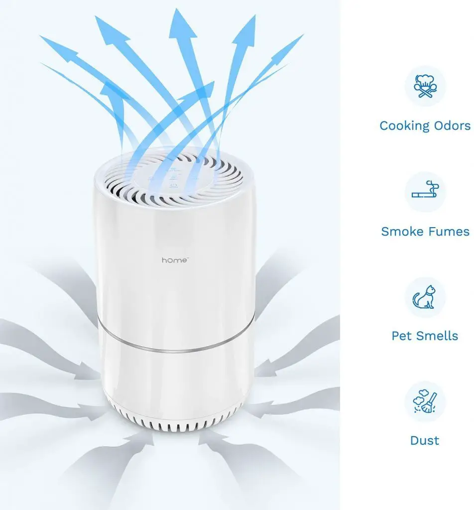 hOmelabs Air Purifier Review - All You Need To Know (2020) - ionizerHub