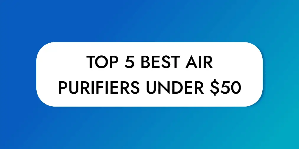Top 5 Best Air Purifiers Under $50