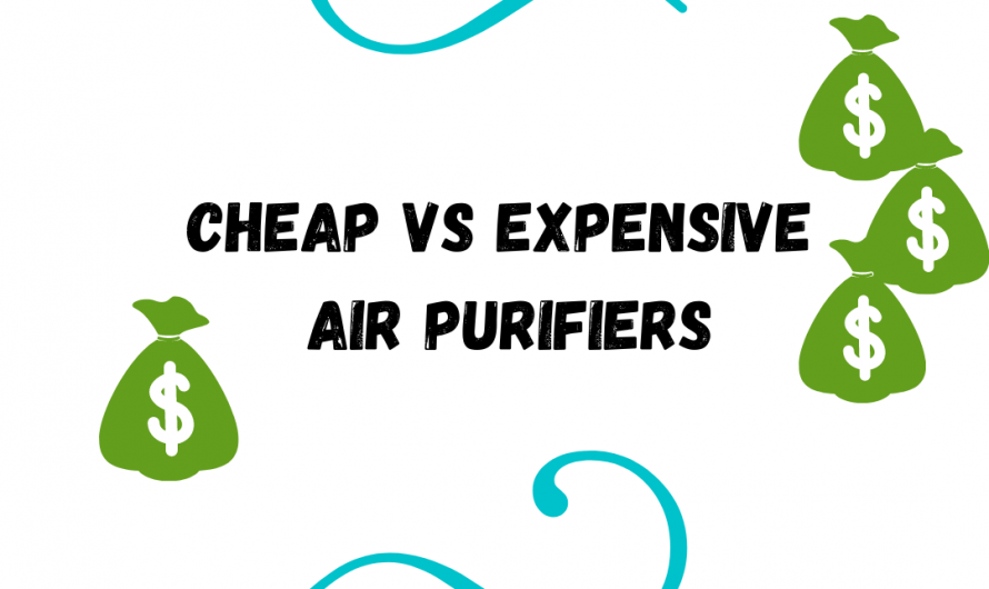 Cheap Vs Expensive Air Purifiers | What are the differences?