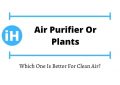 Air purifier or plants Which One Is Better For Clean Air