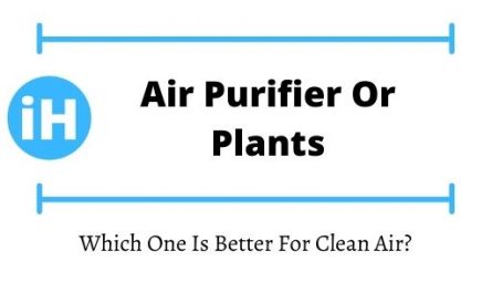 Air purifier or plants Which One Is Better For Clean Air