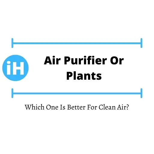 Air purifier or plants Which One Is Better For Clean Air