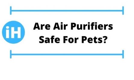 Are Air Purifiers Safe For Pets