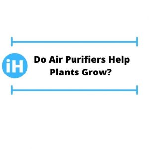 Do Air Purifiers Help Plants Grow