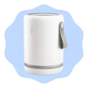 air purifier for allergies  