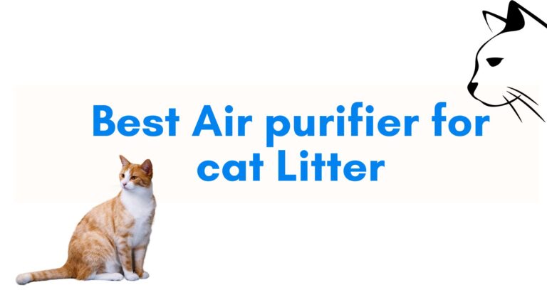 best air purifiers for cat litter