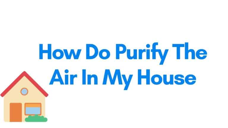 purify the air in my house