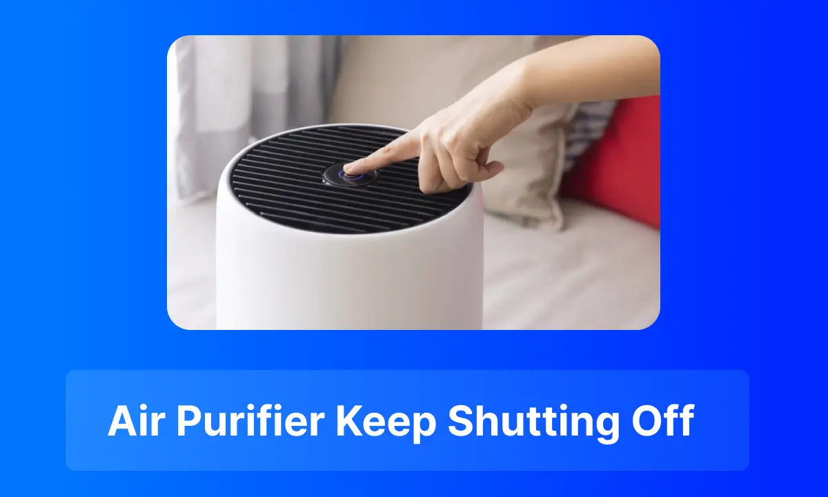 Air Purifier Keep Shutting Off How To Fix