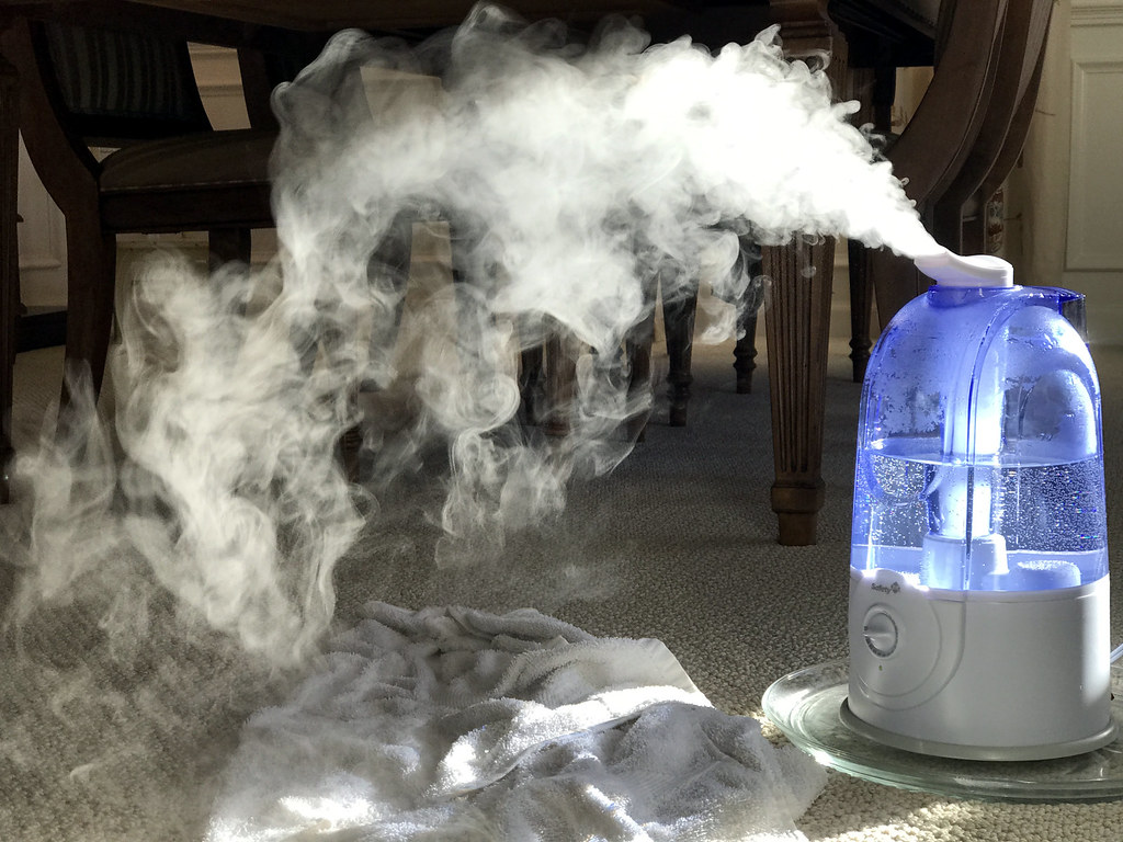 Can You Run a Humidifier Without a Filter?